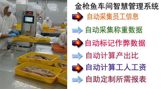 金枪鱼车间智慧管理系统 金枪鱼车间智慧管理系统